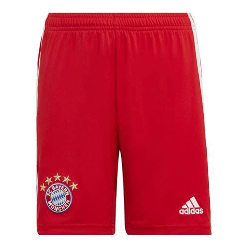 Nohavice Adidas FC Bayern Monachium