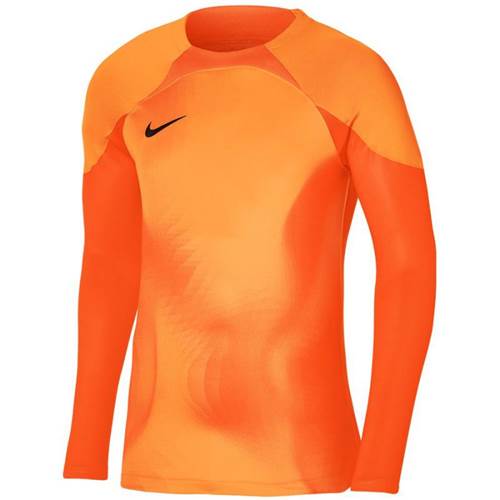 Tričko Nike Gardien IV Goalkeeper