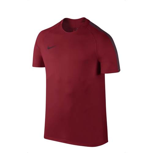 Tshirt Nike Dry Squad