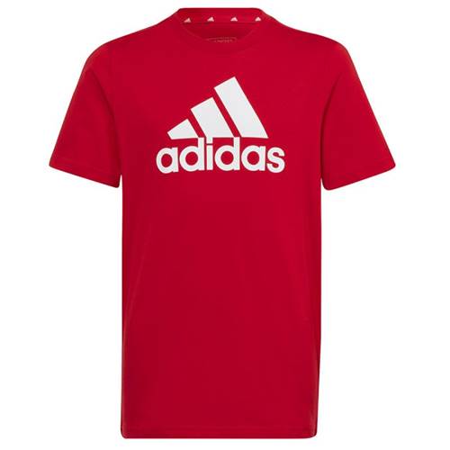 Tshirt Adidas Big Logo Tee JR