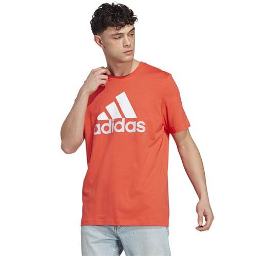 Tshirt Adidas Big Logo SJ
