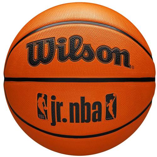 Lopta Wilson JR Nba Fam Logo