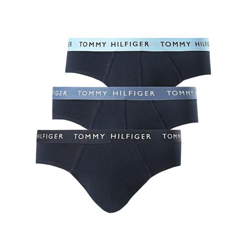 Nohavičky Tommy Hilfiger UM0UM02389